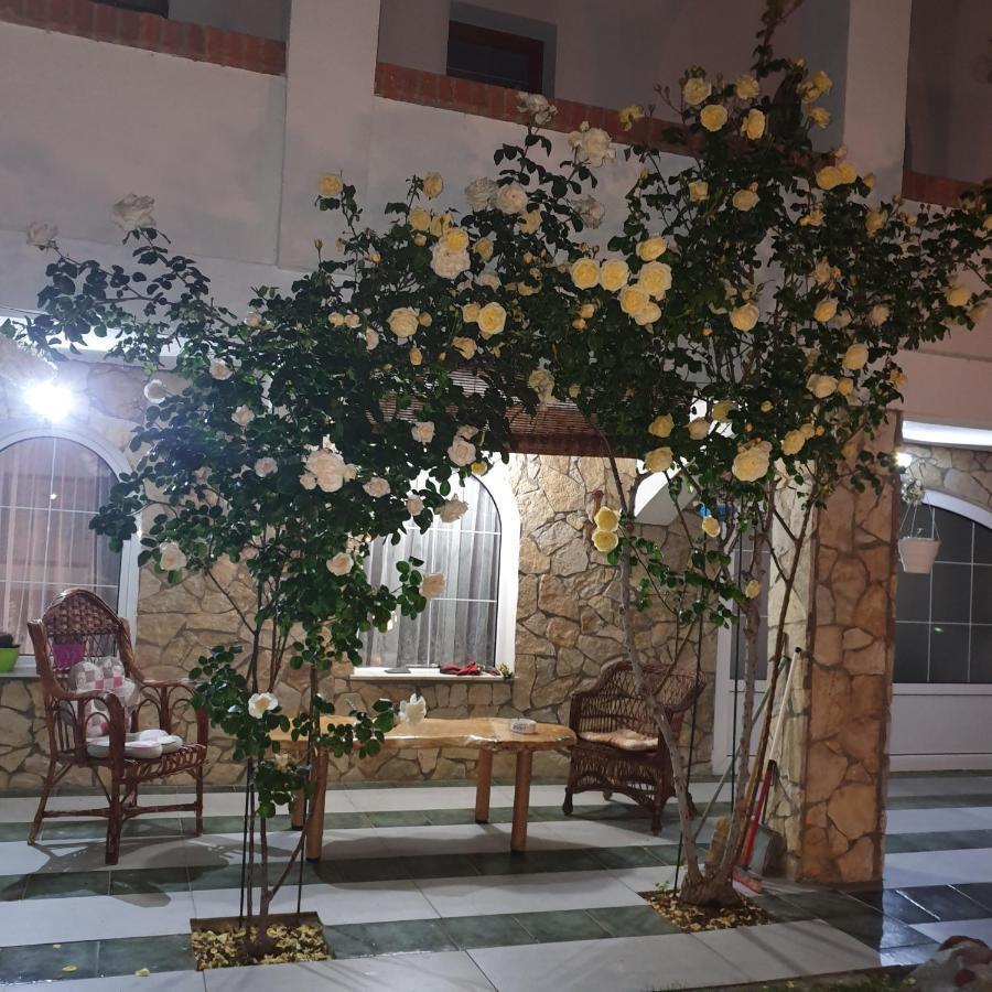 Knez Apartmani Senje Bagian luar foto