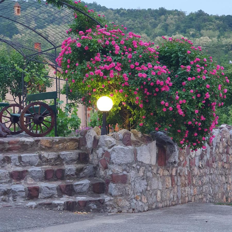 Knez Apartmani Senje Bagian luar foto