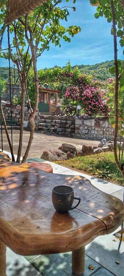 Knez Apartmani Senje Bagian luar foto