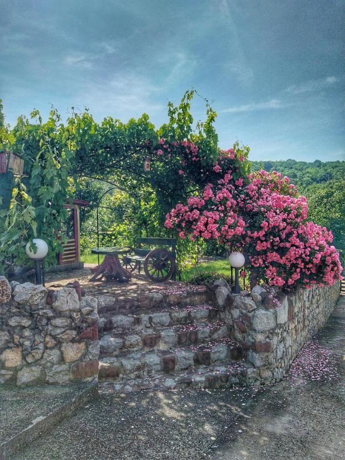 Knez Apartmani Senje Bagian luar foto