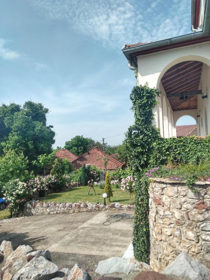 Knez Apartmani Senje Bagian luar foto